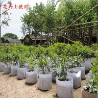 廣州廠家無(wú)紡布植樹袋加厚白色種植袋育苗袋花卉苗木蔬菜栽培袋