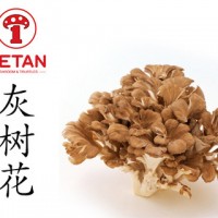 DETAN德添舞茸 新鮮灰樹(shù)花 購(gòu)買請(qǐng)電話聯(lián)系，否則不發(fā)貨