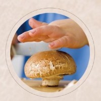 DETAN德添牛排菇 褐菇 早餐菇 購(gòu)買請(qǐng)聯(lián)系，否則不發(fā)貨