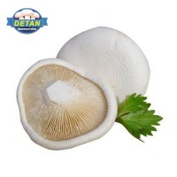 DETAN德添新鮮白靈菇 新鮮 購(gòu)買請(qǐng)電話聯(lián)系，否則不發(fā)貨