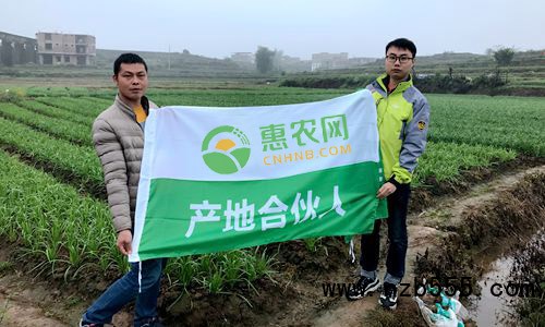 這是一張陳家滿：11個春秋從&ldquo;門外漢&rdquo;變&ldquo;韭菜通&rdquo;的配圖