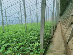 金秋旅游打卡來牛莊|譚家園子:繪就美麗動(dòng)人的生態(tài)農(nóng)業(yè)新畫卷