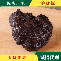 大別山靈芝 源產地大貨批發(fā) 投料靈芝 切片靈芝規(guī)格齊全 一件代發(fā)