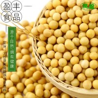 低溫烘焙大豆熟五谷雜糧熟黃豆廠家批發(fā)現磨磨粉豆?jié){批發(fā)