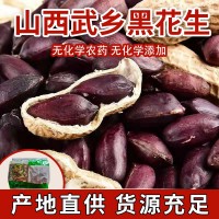 批發(fā)武鄉(xiāng)黑花生帶殼熟花生農(nóng)產(chǎn)品花生歡迎選購