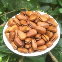 東北特產(chǎn)開(kāi)口松子10斤散裝廠(chǎng)家批發(fā)原味松子堅(jiān)果干果炒貨休閑零食