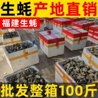 福建鮮活生蠔批發(fā)牡蠣海鮮水產帶殼燒烤自助 產地直銷整箱100斤裝