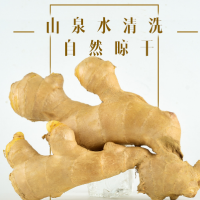 山東風(fēng)干姜巴大姜鮮姜生姜老姜月子姜風(fēng)干姜3斤實惠裝