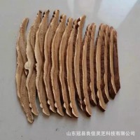 靈芝切片 赤靈芝切片 精選中心片 產地批發(fā) 廠家直供 一手貨源