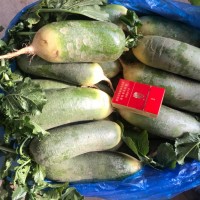優惠銷售水果青蘿卜，青皮青瓤及紫紅皮紫紅瓤蘿卜，甜脆可口