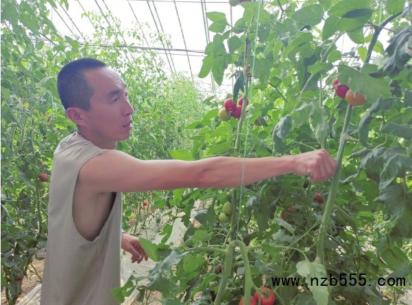 微信截圖_20250526135645