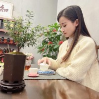 成都品茶喝茶推薦：分享成都小眾品茶工作室老茶友私藏qt茶空間