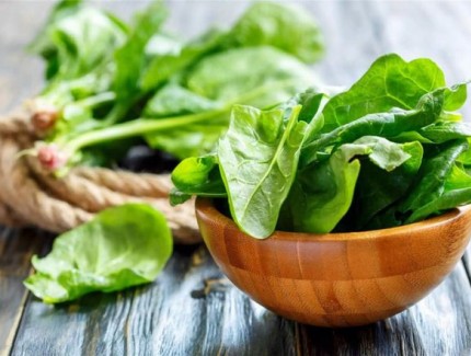 菠菜出苗后爛根死苗是怎么回事？如何正確防治