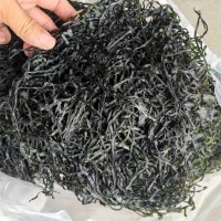 海帶絲干貨烘干海帶絲海帶圈圈跑江湖地?cái)傉逛N餐飲海帶絲批發(fā)貨源